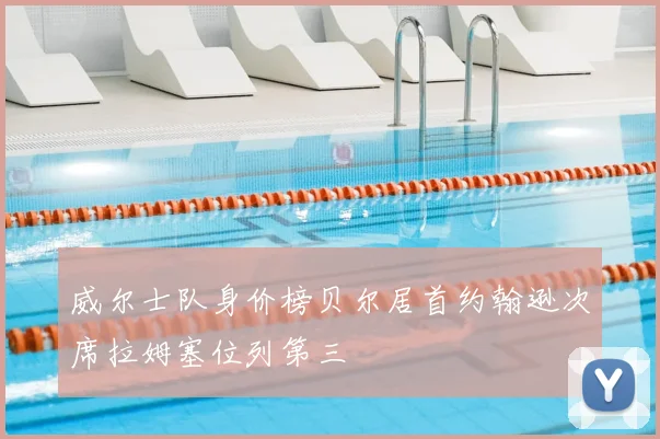 威尔士队身价榜贝尔居首约翰逊次席拉姆塞位列第三