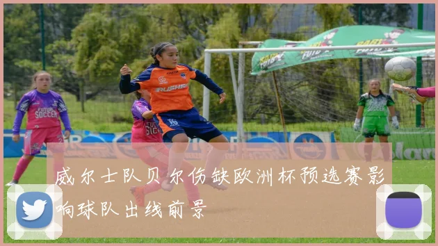 威尔士队贝尔伤缺欧洲杯预选赛影响球队出线前景