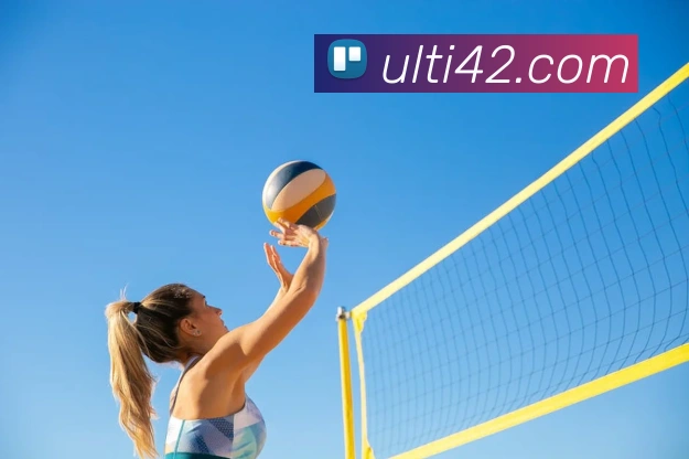 App Interface Preview